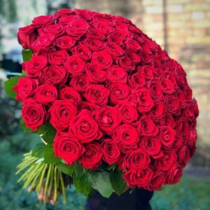 100 Red Roses